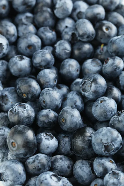 Yabanmersini arkaplanı, kapat