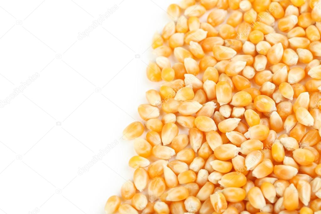 corn grains on white background