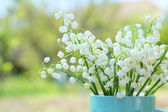 blooming Lily of the Valley flowers