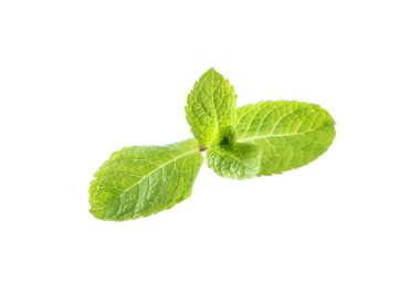 beyaz zemin üzerine taze nane