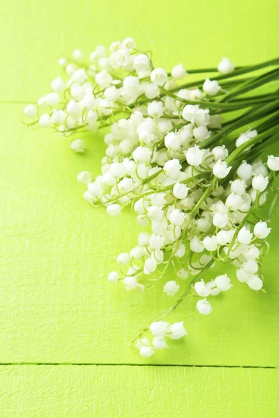 Lírio florescente das flores do vale — Fotografia de Stock