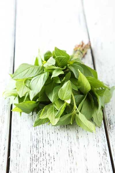 Hojas de albahaca sobre blanco —  Fotos de Stock