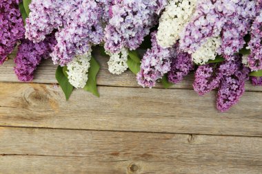 ahşap zemin üzerinde leylak