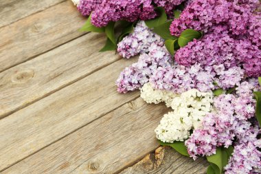 Ahşap arka plan üzerinde güzel leylak