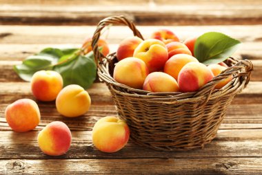 taze kayısı sepeti