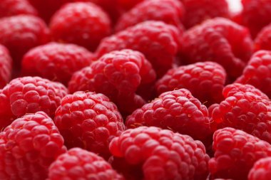 Kırmızı Ahududu zemin