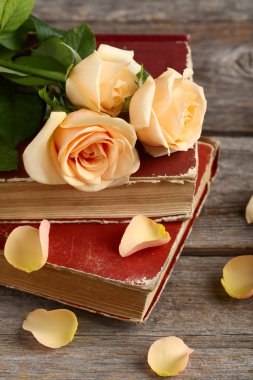 Bir buket turuncu gül.