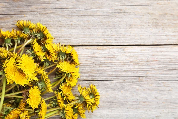 Dandelions on wooden background — Stock Photo, Image