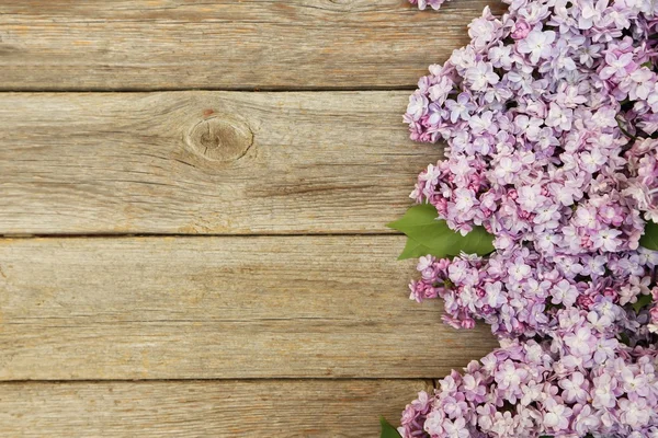 Belo lilás no fundo de madeira — Fotografia de Stock