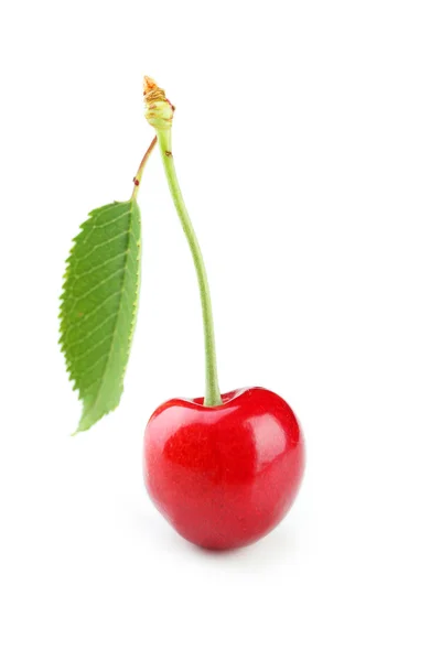 Cereza roja madura — Foto de Stock