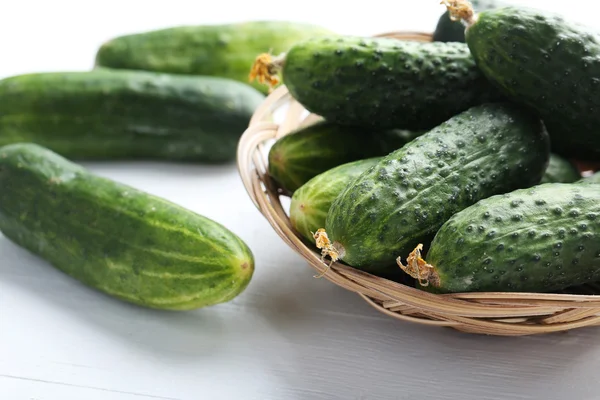 Fresh cucumbers on white background — Stock Photo, Image