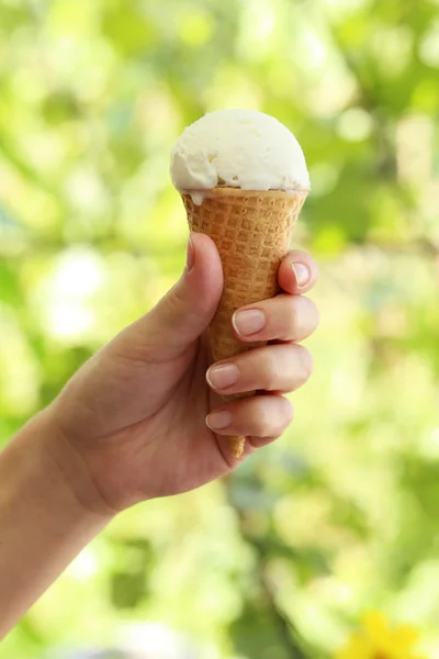 Cialda con gelato — Foto Stock