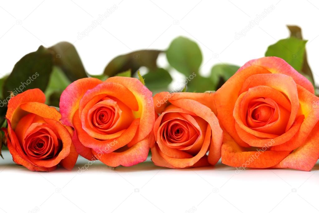 Bouquet of orange roses — Stock Photo © 5seconds 84221280
