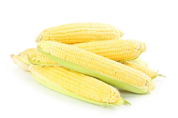 Кукурудзи на білому тлі — стокове фото