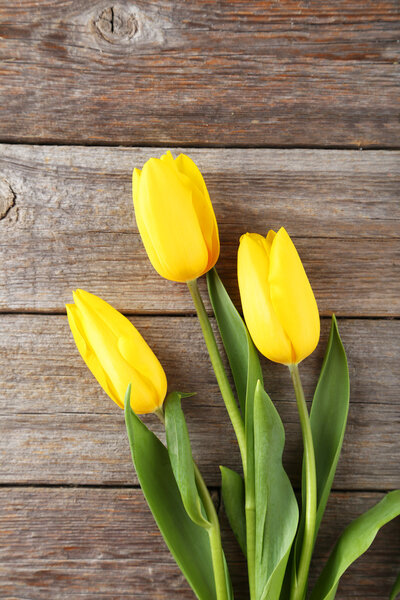 tulips on wooden background