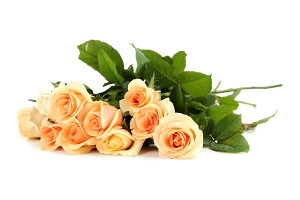 Kytice oranžových růží — Stock fotografie