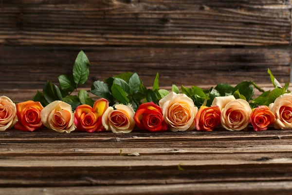 橙色玫瑰的芬芳 — 图库照片