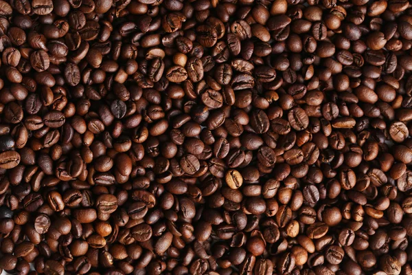 Rostade kaffebönor — Stockfoto