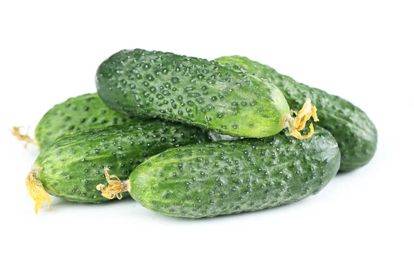 Cucumbers on white background — Stock Photo, Image