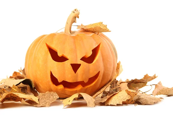 Zucca di Halloween su sfondo bianco — Foto Stock