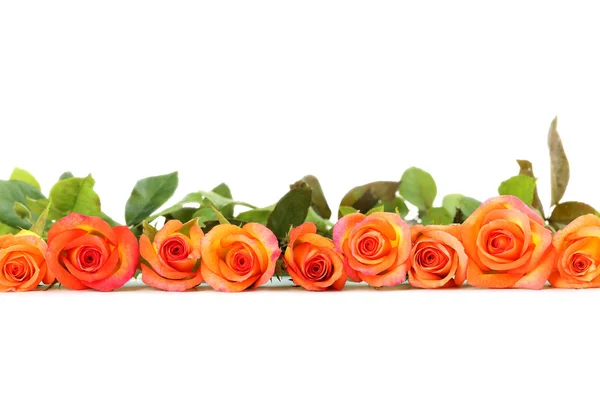 オレンジのバラの花束 — ストック写真