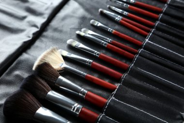Makyaj fırçaları ayarlandı