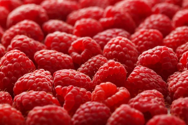 Red raspberry background — Stock Photo, Image