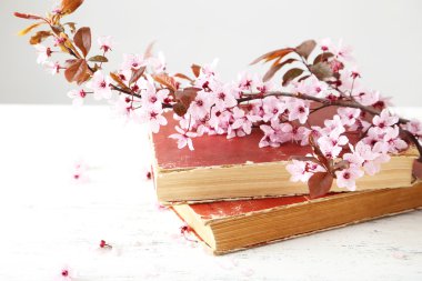 Bahar çiçekli dal kitaplar