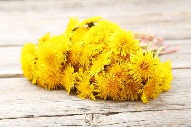 Ahşap arka planda karahindibalar