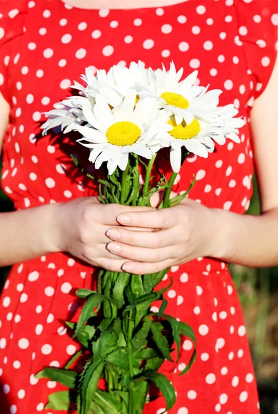 Mujer sosteniendo flores de manzanilla — Foto de Stock