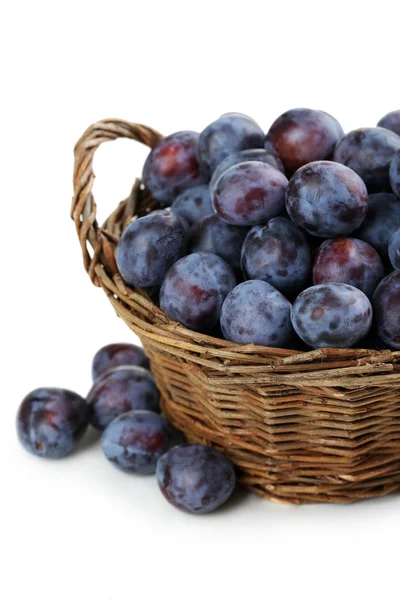 Fresh plums in basket — Stock Photo, Image