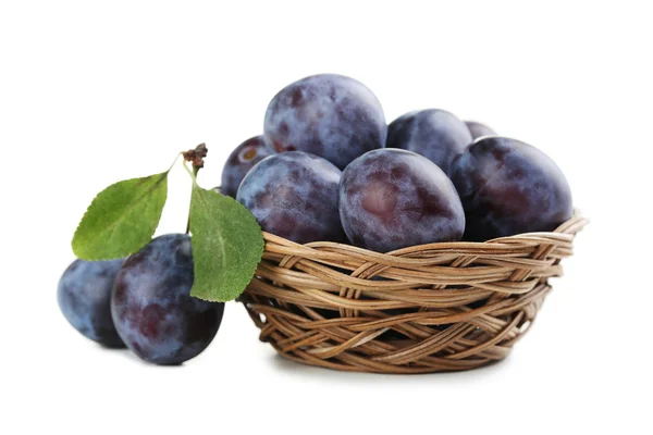 Fresh plums in basket — Stock Photo, Image