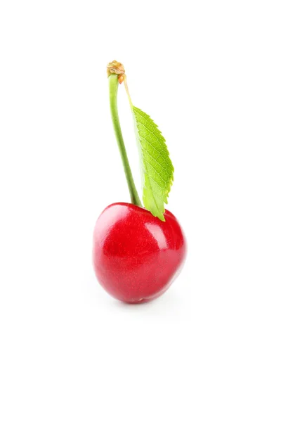 Cherry elszigetelt fehér alapon — Stock Fotó
