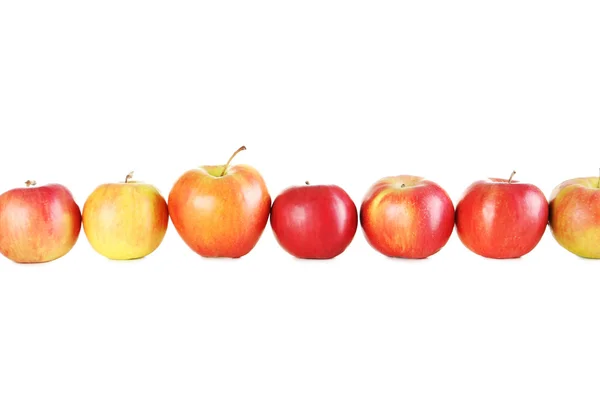 Pommes fraîches mûres — Photo