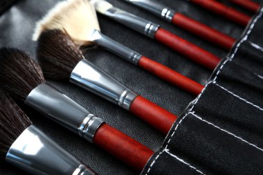 Makyaj fırçaları ayarlandı