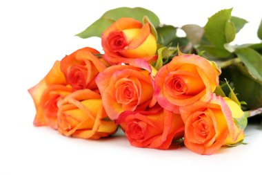 Bir buket turuncu gül.