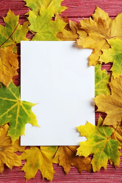 Autumn leaves with blank sheet — Stock Photo, Image