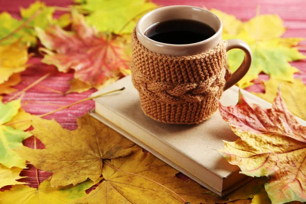 Fincan kahve ve kitap ile sonbahar yaprakları