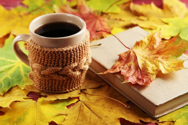 Autumn leaves with cup of coffee and book — Stock Photo, Image