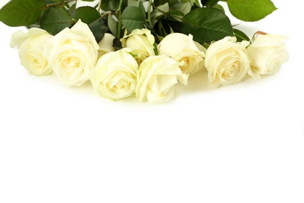 Bouquet of white roses — Stock Photo, Image