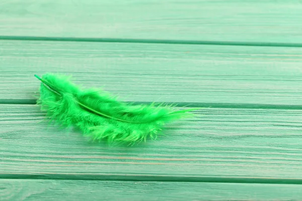 Green decorative feather — Stock Photo, Image