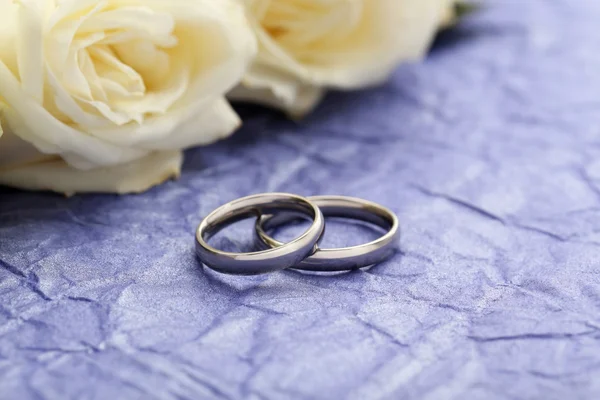 Silver wedding rings — Stock Photo, Image