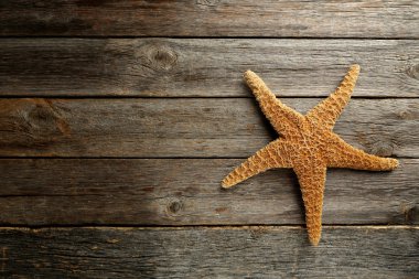 Denizyıldızı ahşap tablo