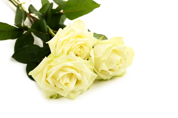 Bouquet of white roses — Stock Photo, Image