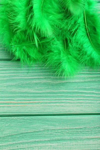 Zöld díszítő célú tollak — Stock Fotó
