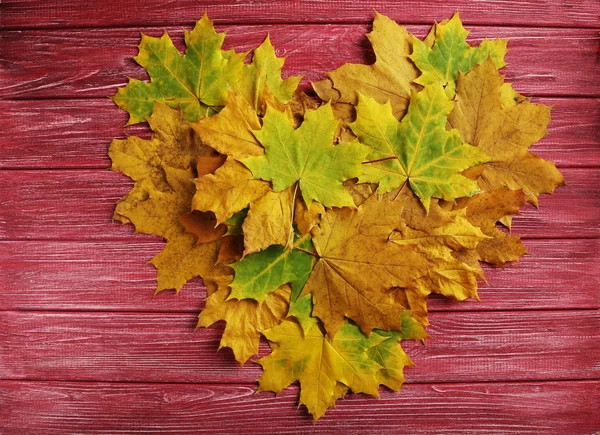 Feuilles d'automne en forme de coeur — Photo