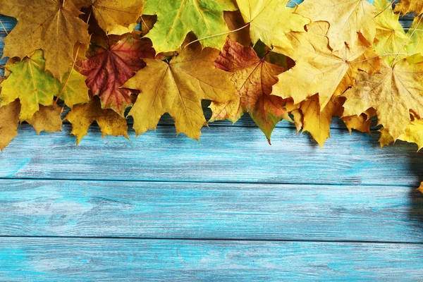 Hojas de Otoño Naranja —  Fotos de Stock