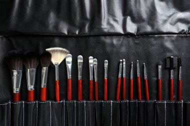 Makyaj fırçaları ayarlandı