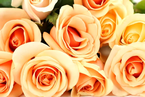 Bouquet de roses d'orange — Photo