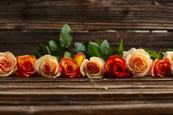 橙色玫瑰的芬芳 — 图库照片